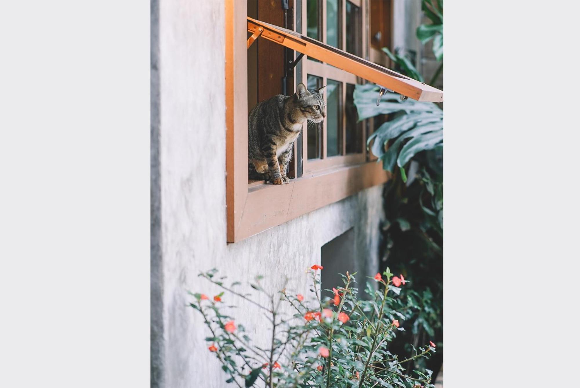 Bed and Breakfast Sleepy House Чианграй Экстерьер фото